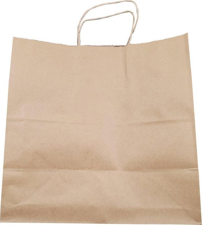 Eco-Craze -13x7x13 Kraft Paper Bag - Twisted Handle