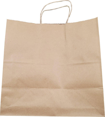 Eco-Craze -13x7x13 Kraft Paper Bag - Twisted Handle