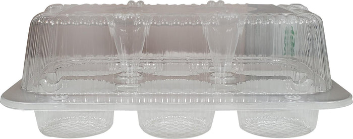 ParPak - Cupcake Container for 6 Pieces - 02020