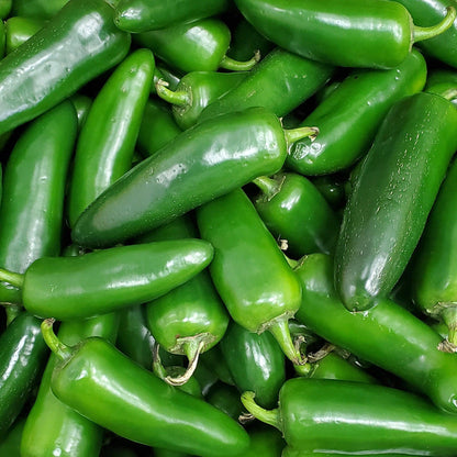 Fresh - Jalapeno Peppers