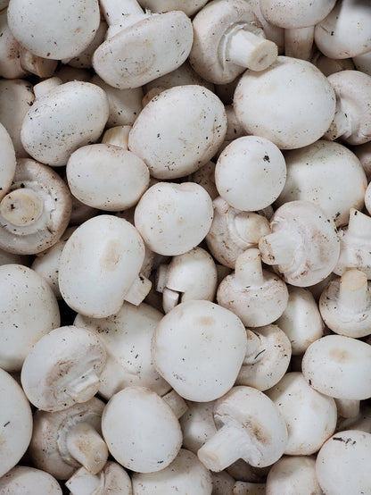 Fresh - Mushrooms - Whole