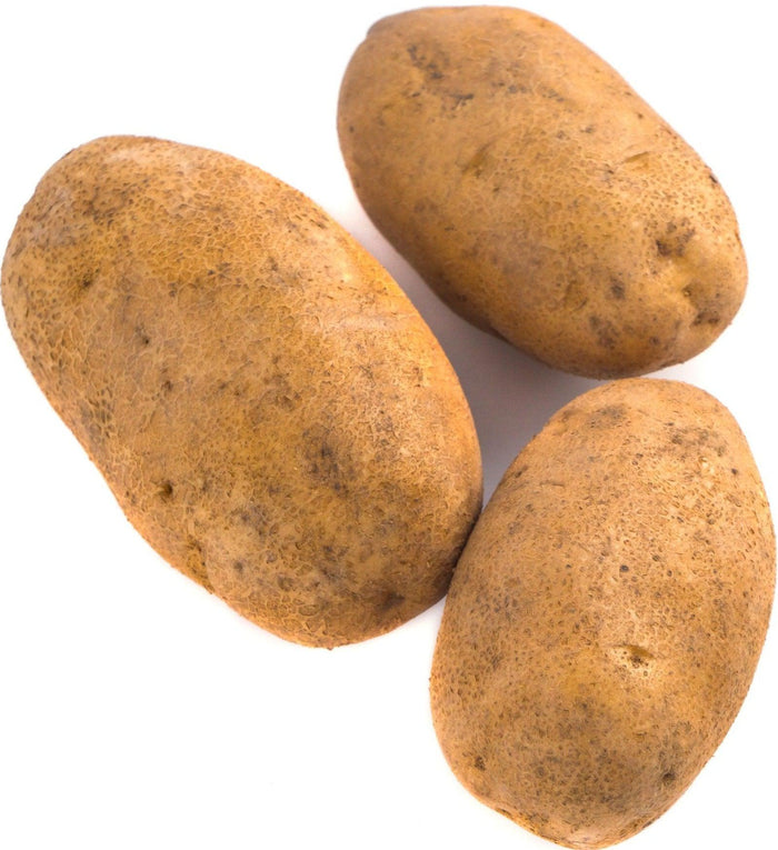 Fresh - Potato - Large - Russet