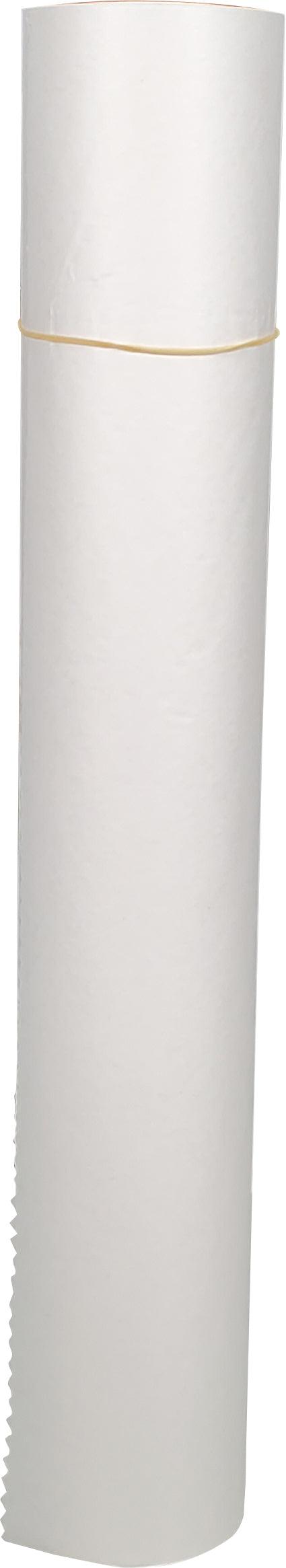 Mayfair - 18" Smooth Examination Table Paper - 225ft x 12 Rolls - 18SMP