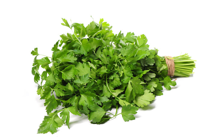 Fresh - Parsley - Curly